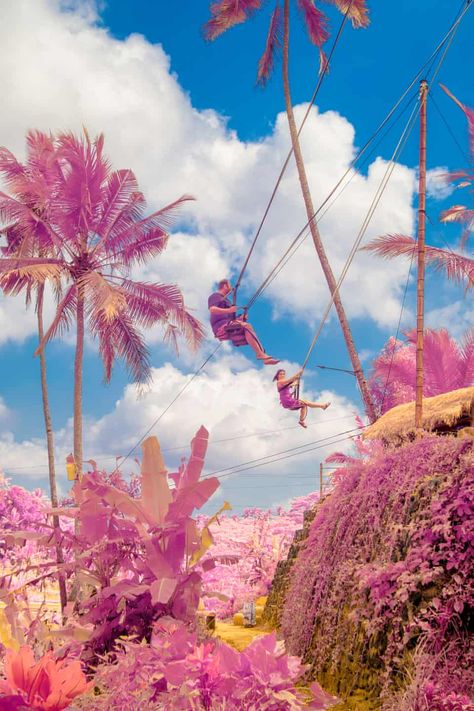 Full spectrum colour of Bali – in pictures | Travel | The Guardian Infrared Radiation, Visible Light, The Invisible, Full Spectrum, Light Photography, The Guardian, Ultra Violet, Landscape Photography, Bali