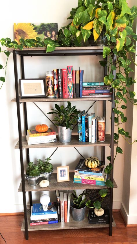 How to organize a book shelf with plants Book Shelf Plant Stand, Book Shelves With Plants, Tall Book Shelf Ideas, Book Shelf Organizing, Book Shelf With Plants, Battlestation Ideas, Shelf With Plants, Bookcase Decorating Ideas, Minneapolis Apartment