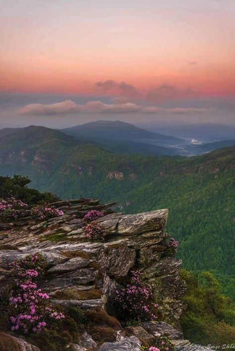 "Spring in the Linville Gorge is amazing. Taken several weeks ago during peak bloom at sunset atop Hawksbill Mountain." Photo from Serge Skiba posted on June 6, 2015 on "I Love the Mountains of Western North Carolina" Facebook page. Carolinas Aesthetic, Linville Gorge North Carolina, Smoky Mountains Aesthetic, South Carolina Mountains, Asheville Nc Mountains, Asheville North Carolina Aesthetic, Raleigh North Carolina Aesthetic, North Carolina Aesthetic, North Carolina Mountains Aesthetic