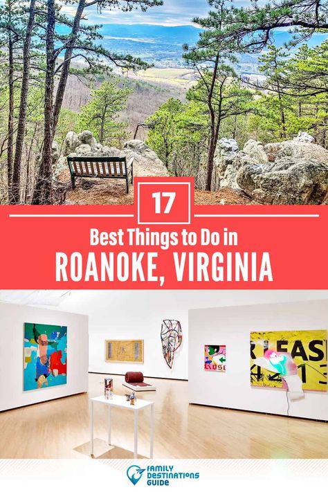 Roanoke Star, Virginia Waterfalls, Things To Do In Virginia, Take Me Home Country Roads, Roanoke Virginia, East Coast Travel, Photo Opportunity, Virginia Travel, Valley Forge