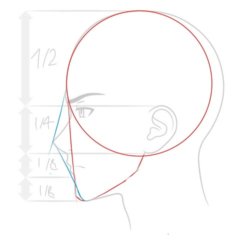 Face Proportions Drawing Anime, Manga Face Shape, Head Structure Drawing, Head And Face Drawing, Face Structure Drawing, Drawing Face Shapes, Anime Face Shapes, Face Proportions Drawing, Draw A Head