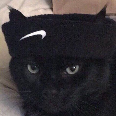 Cute Nike, Cool Album Covers, Cat Selfie, Dark Phone Wallpapers, Nike Wallpaper, Roblox Funny, Cat Icon, Cool Wallpapers Cartoon, Cat Cute