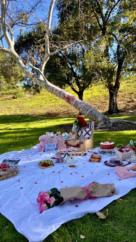 Parties At The Park, Birthday In A Park, V Day Picnic, Cute Girls Picnic Ideas, Park Birthday Ideas, Girly Picnic Ideas, Birthday In The Park, Galentine Picnic, Park Picnic Birthday Party Ideas