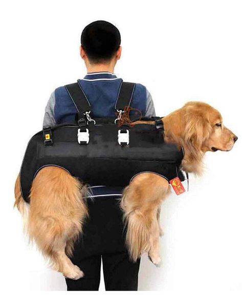 8 Practical Dog Carrier Backpacks for Pups Over 25 lbs - Hey, Djangles. Diy Dog Backpack, Large Dog Carrier, Dog Backpack Carrier, Pet Backpack Carrier, Dog Clothes Diy, Pet Backpack, Hiking Dogs, Dog Backpack, Dog Store