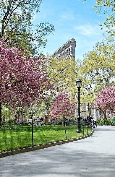 NYC Nyc Visit, Madison Square Park, Park Plaza, Flatiron Building, Nyc Manhattan, I Love Nyc, Cherry Trees, Ny City, City New York