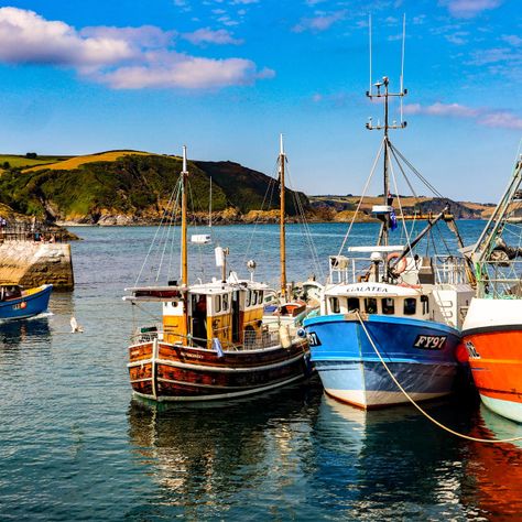 'Mevagissey Harbour ' on Picfair.com Harbour Photography, Ship Is Safe In Harbor, Boats In Harbour, Fishing Boats Photography, Harbour Paintings, Kids Room Art Prints, Boats In Harbour Paintings, Beach Cove, Cornwall Beaches