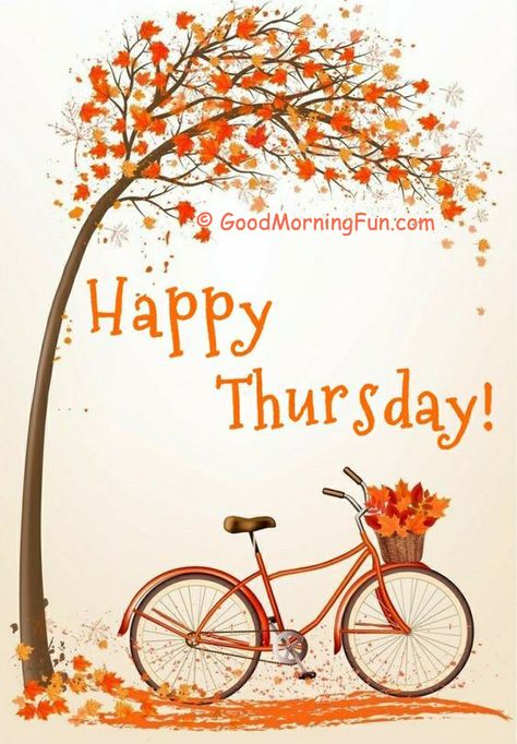 Happy Thursday - Tree with Bicycle Thursday Morning Quotes, Good Morning Thursday Images, Happy Thursday Images, Hello Thursday, Thursday Images, Thursday Greetings, Happy Thursday Quotes, Good Morning Thursday, Good Morning Wednesday