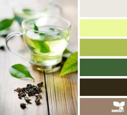 Green Tea Tones Color Palette Tea Color Palette, Feng Shui Kitchen Colors, Feng Shui Kitchen, Feng Shui Colours, Seeds Color, Kitchen Colour Schemes, Natural Lifestyle, Design Seeds, Health Inspiration