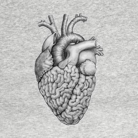 Concept Of Time Art, Brains Drawing, Brain And Heart Drawing, Human Anatomy Tattoo, Heart Surrealism, Heart And Brain Art, Anatomy Tattoo Ideas, Neuroscience Tattoo, Lettering Tattoo Fonts