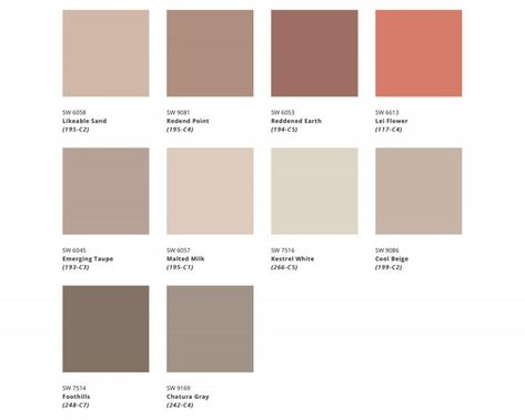 Redend Point Sw 9081, Sw 9081, New House Organization, Redend Point, New House 2023, Earth Tone Decor, Earth Tone Color Palette, Open Plan Kitchen Living, Room Wall Colors