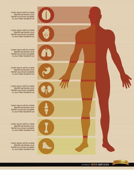 Medical Infographic, Fitness Infographic, Round Icons, Healthcare Infographics, Body Silhouette, Customer Journey Mapping, Human Icon, Human Body Anatomy, Journey Mapping