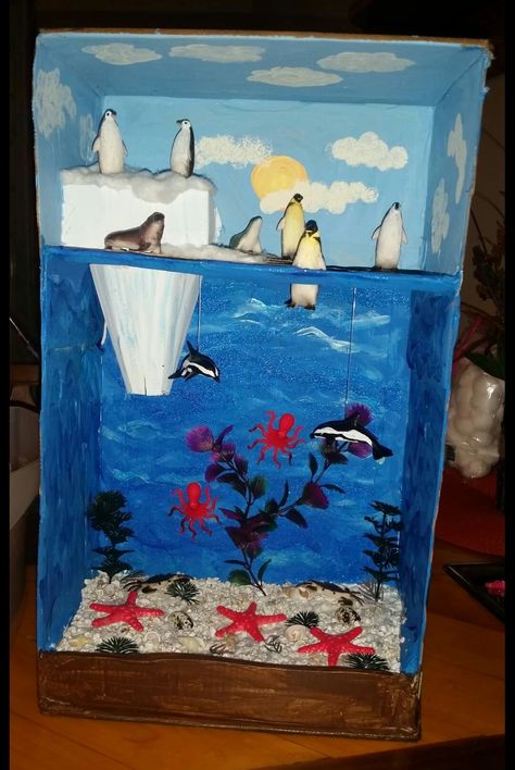 Arctic Habitat Diorama 2nd grade project Habitat Diorama, Penguins Project, Vetenskapliga Experiment, Arctic Habitat, Biomes Project, Diy With Kids, Ecology Projects, Diorama Kids, Ecosystems Projects