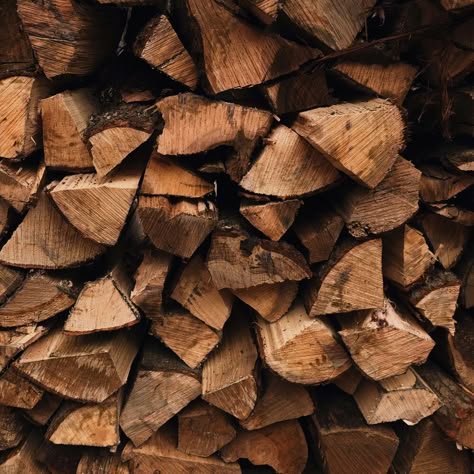 Fall Aesthetic Moodboard, Homesteading Aesthetic, Richard Winters, Homestead Aesthetic, Winter Homestead, Wood Piles, Calico And Twine, Chicken Aesthetic, Honeybush Tea