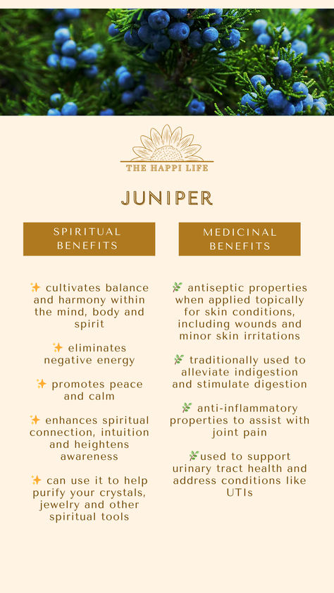 Medicinal and Spiritual benefits of Juniper | Herbal Medicine Juniper Berries Magical Properties, Juniper Oil Benefits, Juniper Magical Properties, Juniper Benefits, Juniper Berry Benefits, Juniper Magic, Juniper Berries Witchcraft, Herb Magic, Earth Medicine