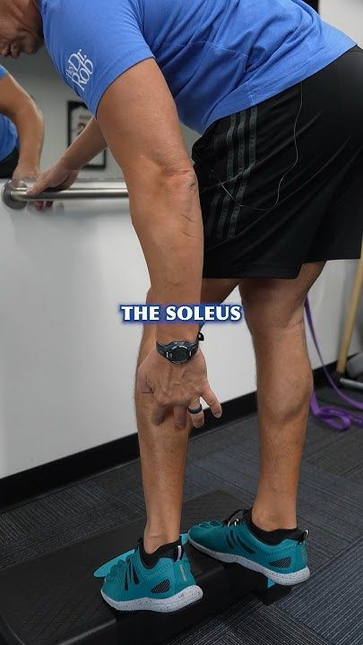 Soleus Muscle Workout, Gastrocnemius Muscle Workout, Soleus Muscle, Gym Workout Plan, Muscle Stretches, Gym Workout Plan For Women, Home Exercises, Workout Plan For Women, Exercise Videos