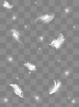 Feather Png, Edit Photo Frame, Photography Studio Design, Blur Image Background, Free Lightroom Presets Portraits, Overlays Picsart, Lightroom Presets Portrait, New Background Images, Background Images For Quotes