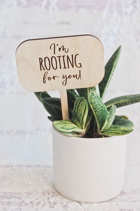 "These wood plant picks have multiple punny sayings.  These funny markers can be used for Houseplant, succulents, Indoor Plant Pots or given in any type of plant as a fun gift! These can have other saying and can be personalized or customized, just reach out to us first!  ~Quantity~ Qty 1 = 1 plant pick Example: If you want 5 plant picks add qty 5 to your cart.   ~Size~ Approximately  Height: 5\"   Width: 3\" ~Color~  Wood - Please note the color will vary slightly due to lighting and screens.  Each one will also be slightly different due to the nature of the wood, engraving, and cutting process.   ~Shipping~ Shipping times can vary throughout the year but generally it takes 2-3 business days to prepare the order for shipping.  Once the order has shipped, standard shipping can take 5-7 bus Quotes To Write On Plant Pots, Plant Crafts To Sell, Plant Themed Gifts, Diy Plant Gifts, Succulent Gift Ideas, Plant Sayings, Plant Tumbler, Plant Gift Ideas, Plant Mobile