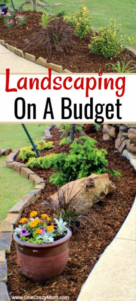 Cheap Low Maintenance Landscaping, Low Cost Landscaping Ideas, Waterless Yard Landscaping Ideas, Around The House Landscaping Ideas, Ways To Landscape Around A Tree, How To Do Landscaping, Front Flowerbed Ideas, East Landscape Ideas, Under Tree Landscaping Ideas Front Yard