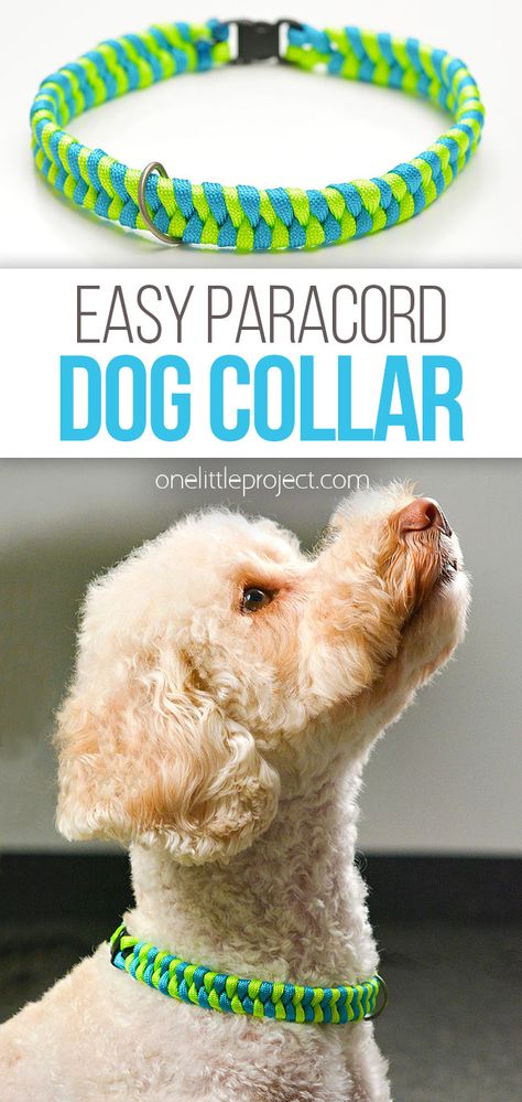 It's SO EASY to make a paracord dog collar! These DIY collars are lightweight, weather resistant, and super durable. Plus they're very simple to make, using one knot that's perfect for paracord beginners. Both kids and adults will love making a custom collar for their pet, and all you need are a few simple supplies and 30 minutes of your time! Diy Pet Collars How To Make, Homemade Dog Collars Diy How To Make, How To Make A Dog Collar Diy, Paracord Pet Collar, Handmade Dog Collars Diy, Diy Paracord Dog Collar, How To Make A Dog Collar, Paracord Projects Diy Easy, Paracord Dog Toy