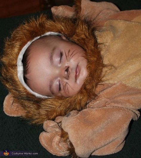 Best Diy Costumes, Baby Lion Costume, Lion Makeup, Toddler Makeup, Costumes For Babies, Halloween Costumes 2014, Holloween Makeup, Lion Baby, Lion Costume