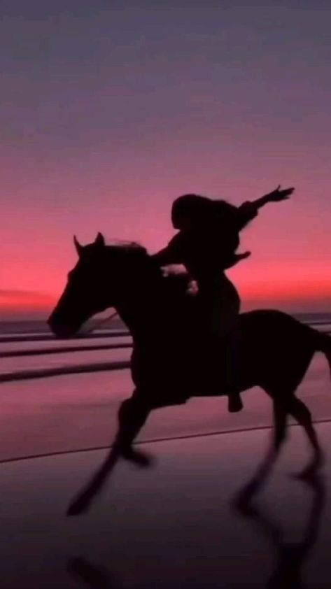 Horse Girl Aesthetic, Riding Aesthetic, Horse Riding Videos, Horse Background, Facts About Animals, Horse Riding Aesthetic, Fun Facts About Animals, Cute Horse Pictures, Horse Videos