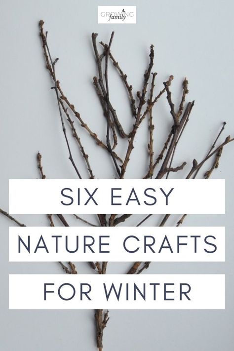 Nature crafts are a great way to get kids outdoors.  Check our these easy crafts for kids that you can do in winter using natural materials. Winter Nature Crafts, Easy Winter Crafts For Kids, Nature Crafts Kids, Forest Crafts, Easy Winter Crafts, Winter Crafts Preschool, Forest School Activities, January Crafts, Winter Gardens