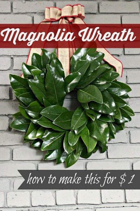 Magnolia Wreaths, Diy Magnolia Wreath, Magnolia Leaf Wreath, Magnolia Leaf, Dye Flowers, Magnolia Wreath, Magnolia Leaves, Magnolia Trees, Wreath Tutorial