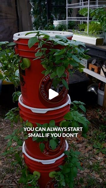 Keep on Growin' on Instagram: "Start small, lear lots, have fun. Here's an easy alternative to a vertical tower garden to get you started with hydroponics. 😀🌿👍 #diy #hydroponics #gardening #towergarden" Diy Hydroponic Tower Garden, Vertical Hydroponic Gardening Diy, Garden Tower Diy, Tower Garden Diy, Hydroponic Gardening Diy, Vertical Hydroponics, Diy Hydroponics, Hydroponics Gardening, Hydroponic Grow Systems