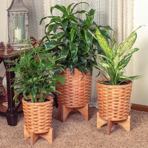 Rattan Planters, Basket Plant, Fig Plant, Planting Pot, Wicker Planter, Wooden Plant Stands, Basket Planters, Plant Basket, Decorative Planters