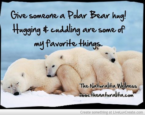 Polar Bear Quotes, Polar Bear Images, Bear Quotes, Bear Quote, Bear Hug, Polar Bears, Quotes For Kids, Image Quotes, Polar Bear