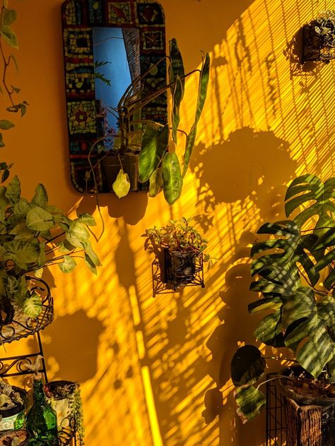 Balcony Garden Yellow wall Yellow Garden Wall, Yellow Balcony, Yellow Painted Rooms, Yellow Bedroom Walls, Dandelion Color, Yellow Painted Walls, Mexican Colors, Bohemian Room, Pastel Walls