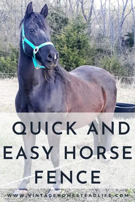 How to Build an Easy and Cost Effective Horse Fence Diy Horse Fence Cheap, Easy Horse Fencing, Cheap Horse Fence, Cheap Horse Fencing, Temporary Horse Fence, Horse Pasture Fencing, Horse Fencing On A Budget, Horse Tack Organization, Diy Horse Fence