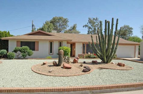 1960s Landscaping, Cactus Landscaping, Traditional Landscaping, Desert Landscape Design, Cactus Landscape, Landscape Ideas Front Yard, Water Wise Landscaping, Yard Makeover, Front Lawn Landscaping