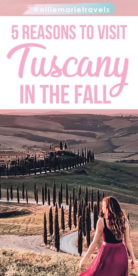 Tuscany in the Fall : 5 Reasons to Visit | Allie Marie Travels Tuscany In The Fall, Solo Travel Europe, Italy Culture, Travelling Ideas, Autumn Travel, Tuscany Travel, Italy Tuscany, Explore Italy, Italy Travel Tips