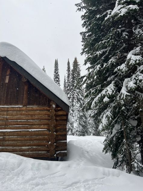 Log Cabin Aesthetic, Wyoming Cabin, 2024 Moodboard, Cabin Aesthetic, Cabin Trip, Girl Aesthetics, After College, Winter Cabin, To The Mountains