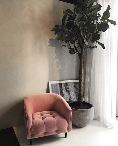 Pink Velvet Armchair, Dusty Pink Interior, Pink Plants, Pink Armchair, Adirondack Chair Cushions, Big Chair, Office Chair Without Wheels, Velvet Pink, Oversized Chair