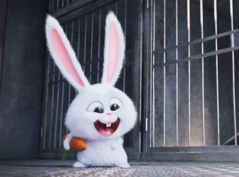 Kevin Hart, The Secret Life Of Pets Snowball Rabbit, Pets Movie, Rabbit Wallpaper, Cute Bunny Cartoon, Bunny Wallpaper, Secret Life Of Pets, Bunny Pictures, Mtv Movie Awards, Kevin Hart