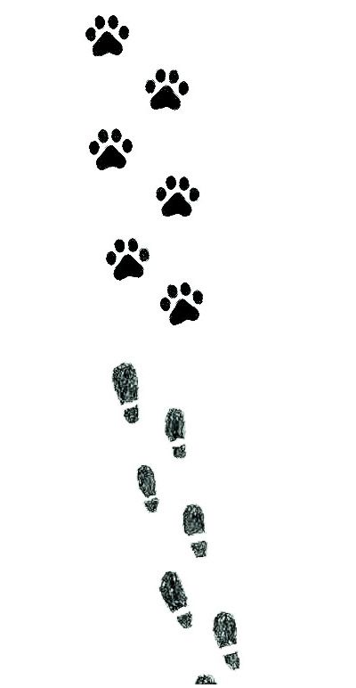 As pegadas de um animago Padfoot Tattoo, Tattoo Harry Potter, Dear Future, Future Tattoos, Print Tattoos, Paw Print Tattoo, Paw Print, Piercings, Harry Potter