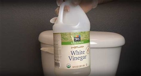 Man Pours White Vinegar Inside His Toilet Tank And I'm Copying His Idea. - MetaSpoon Clean Toilet Tank, Clean Toilet Bowl Stains, Toilet Bowl Stains, Clean Toilet, Clean Toilet Bowl, Bathroom Cleaning Hacks, Toilet Tank, Distilled White Vinegar, How To Make Paint