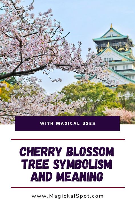 Cherry Blossom Symbolism, Cherry Blossom Meaning, Tree Symbolism, Cherry Blossom Bedroom, Tree Meanings, Yoshino Cherry Tree, Cherry Blossom Tree Tattoo, Blossom Tree Tattoo, Japanese Cherry Blossoms