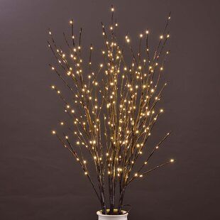 Branch Diy, Lighted Tree Branches, Lighted Trees, Artificial Indoor Trees, Warm White Fairy Lights, Twig Lights, Branches Diy, Snow Light, White Fairy Lights