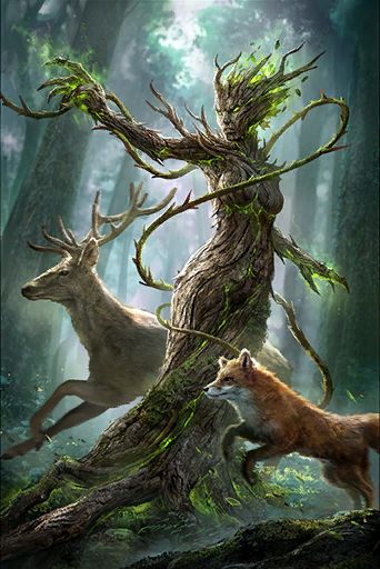 Elder Scrolls Legends, Mythical Creatures Fantasy, Forest Spirit, Fantasy Forest, The Elder Scrolls, Forest Creatures, Fantasy Races, Mythical Creatures Art, Elder Scrolls