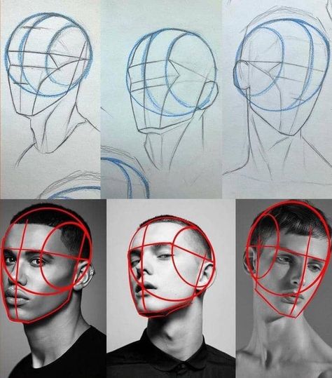 Haircut Styles For Girls, Boy Haircut Ideas, Portrait Drawing Tips, Art Anatomy, Boy Haircut, 얼굴 드로잉, Anime Illustration, 얼굴 그��리기, Cool Pencil Drawings