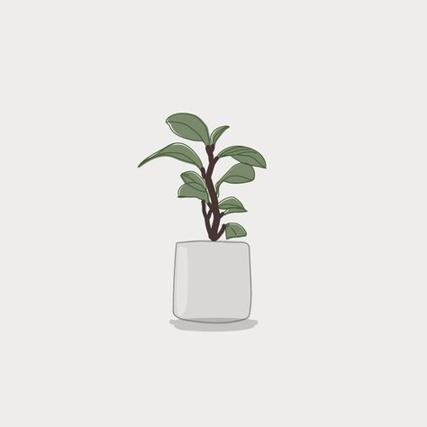 Peperomia Plant Drawing, Peperomia Clusiifolia, Peperomia Plant, Red Plants, Plant Vector, Plant Drawing, Vector Illustration, Drawings, Plants