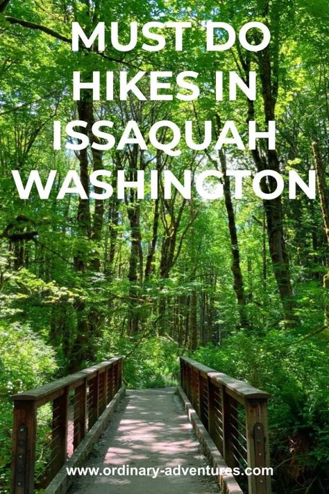 The very best hikes in Issaquah in the Issaquah Alps! Forests, views and even solitude can be found if you know where to go. Washington Nature, Issaquah Washington, Washington State Hikes, Types Of Hiking, Washington Hikes, Forest Bathing, Downtown Seattle, Beautiful Forest, Take A Hike