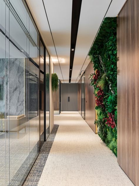 Office Passage Design, Hallway Plants, Passage Design, Office Lobby Design, Construction Office, Home Study Rooms, Photography Office, Corporate Interior Design, Office Interior Design Modern