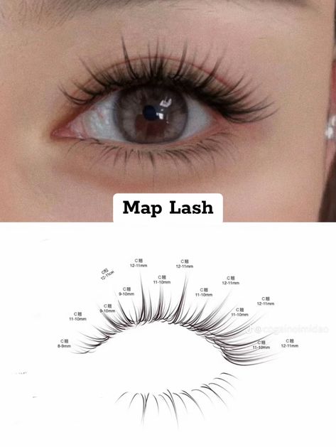 Lash Mapping Asian Eyes, Asian Eyelash Extensions Mapping, Light Wispy Eyelash Extensions Mapping, Lash Animation, Manhua Lash Map, Wispy Lashes Mapping Clusters, Manga Lash Extension Map, Manga Lashes Map, Manga Lash Map