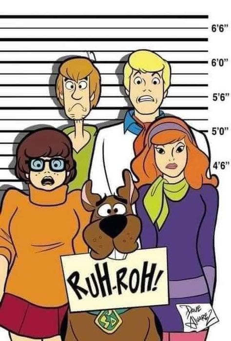 Scooby Doo 1969, Family Guy Cartoon, Fred Jones, Scooby Doo Pictures, Scooby Doo Images, Shaggy And Scooby, Scooby Gang, Scooby Doo Mystery Incorporated, Scooby Dooby Doo