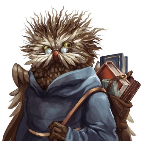 Owlin Wizard, Wizard Professor, Wizard 5e, Dungeons And Dragons Pdf, Npc Ideas, Wizards Of The Coast, Character Sheet, Dnd Characters, The Coast