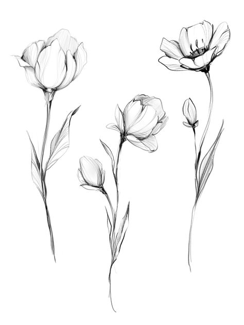 I Will Tattoo, Will Tattoo, Flower Tattoo Drawings, Poppies Tattoo, Flower Line Drawings, Flower Art Drawing, Floral Tattoo Design, Botanical Tattoo, Flower Sketches